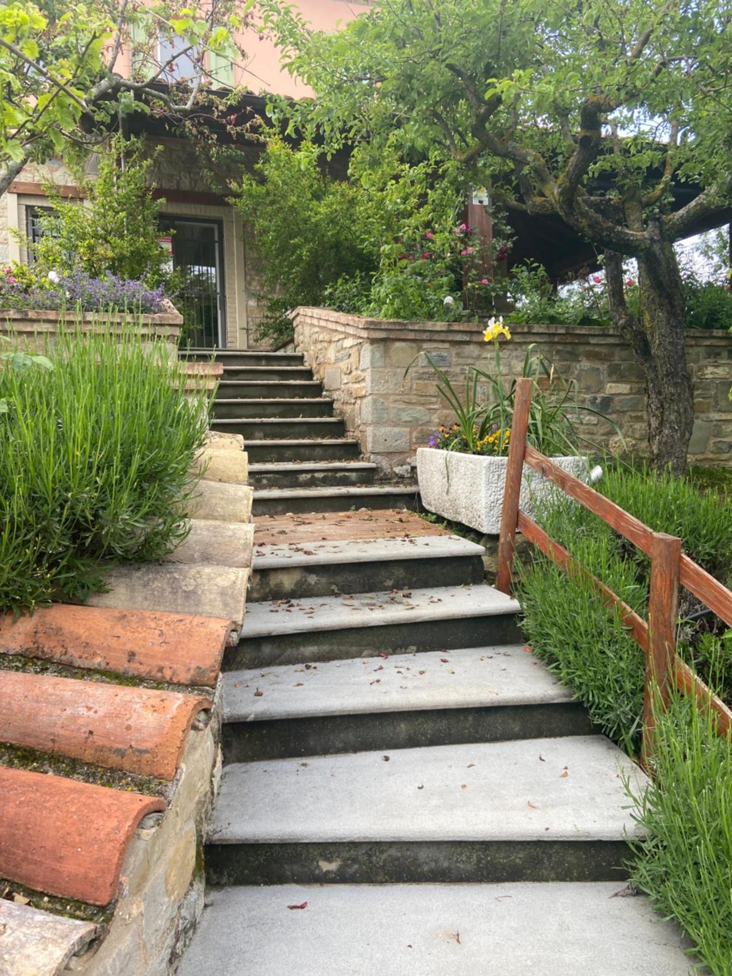 Agriturismo I Tassoni Villa Pavullo nel Frignano Esterno foto