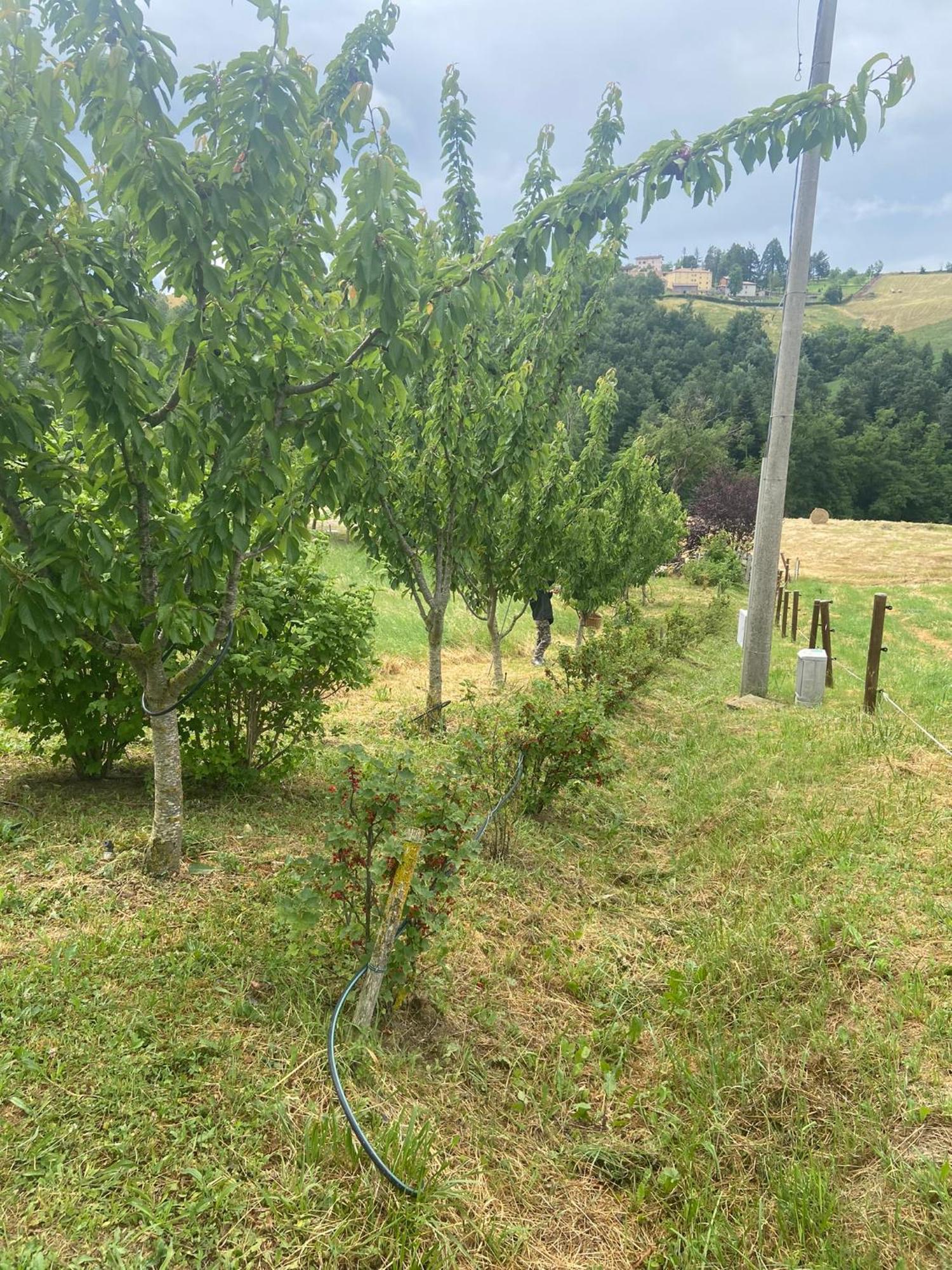 Agriturismo I Tassoni Villa Pavullo nel Frignano Esterno foto