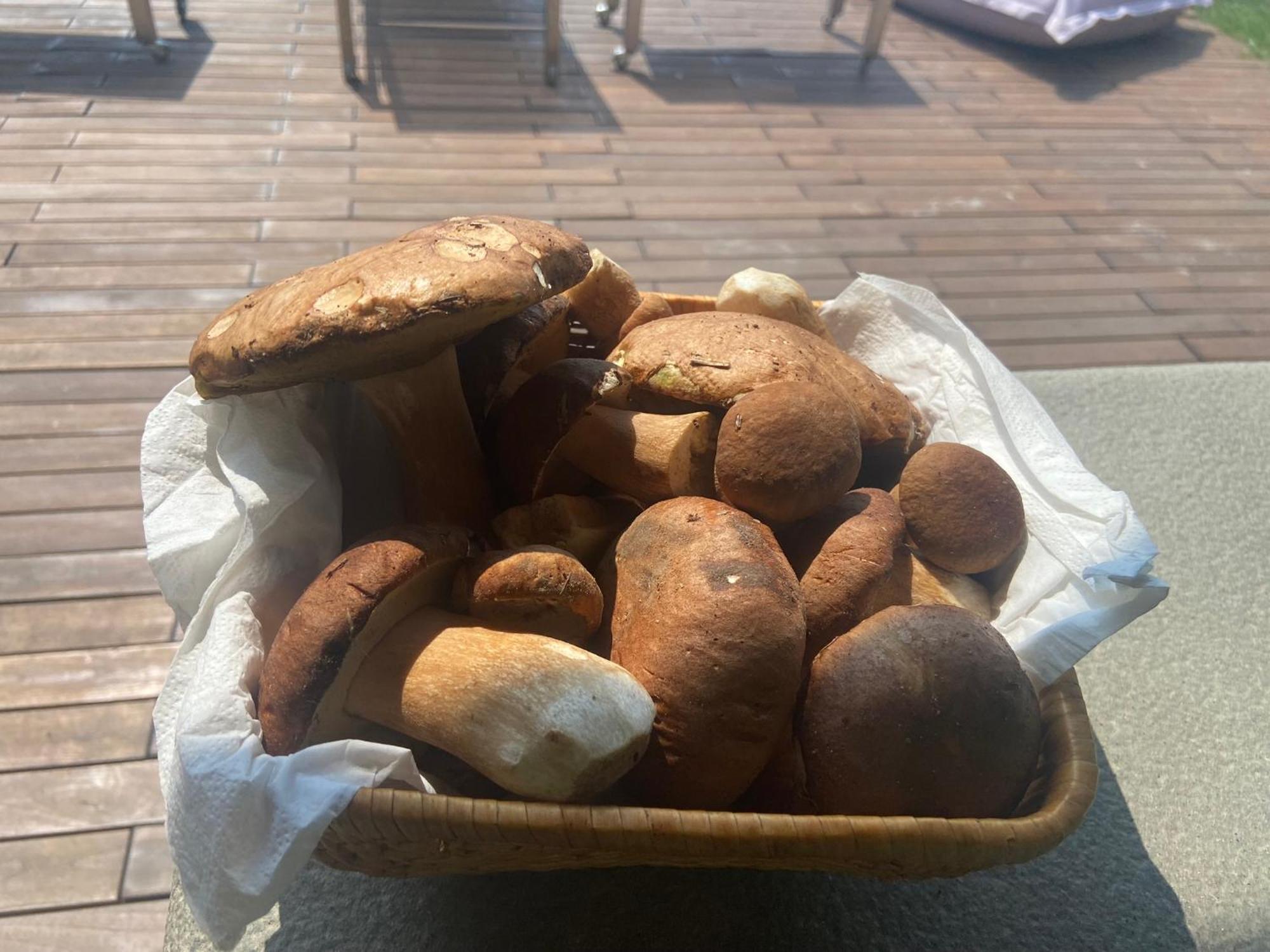 Agriturismo I Tassoni Villa Pavullo nel Frignano Esterno foto
